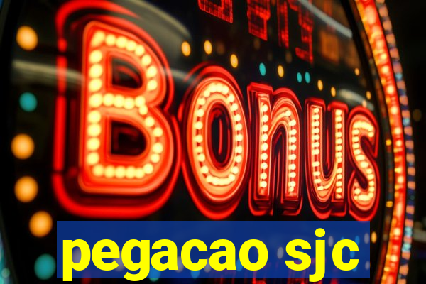 pegacao sjc